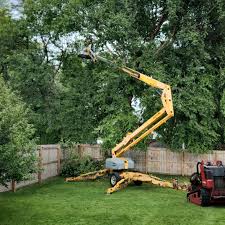 Best Tree and Shrub Care  in Brewton, AL