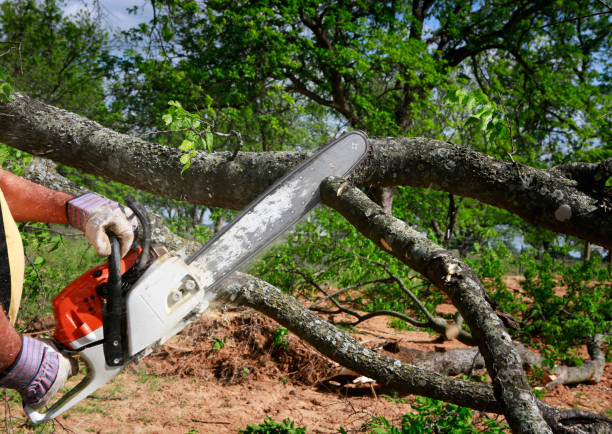 Seasonal Cleanup (Spring/Fall) in Brewton, AL